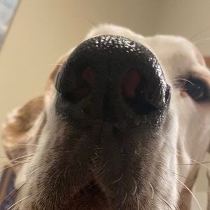 Meet your Posher, Ethan